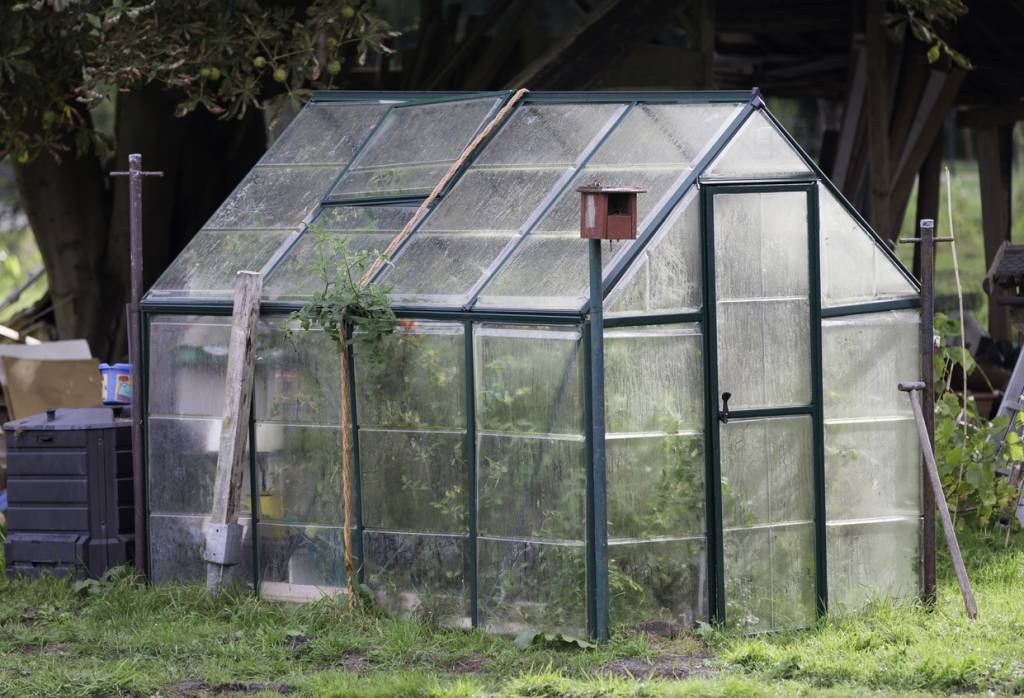 découvrez nos astuces pour jardiner sous serre en 2025 et optimiser vos récoltes toute l'année. conseils pratiques et techniques efficaces pour un potager réussi.