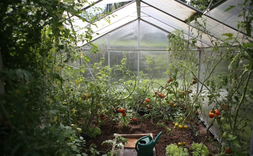 découvrez nos astuces pour jardiner sous serre en 2025 et maximisez vos récoltes toute l'année grâce à des conseils pratiques et adaptés.