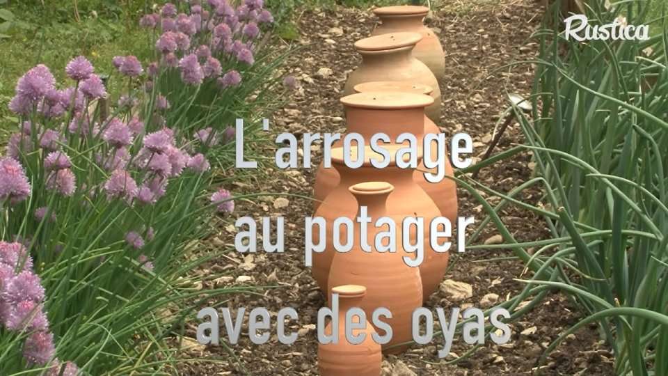 découvrez comment utiliser les oyas pour économiser l'eau au jardin en 2026, une méthode écologique et efficace pour un arrosage durable.