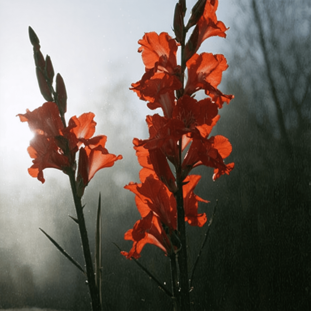 découvrez comment planter et entretenir les glaïeuls pour un jardin coloré et fleuri tout au long de la saison. conseils pratiques et astuces d'experts.