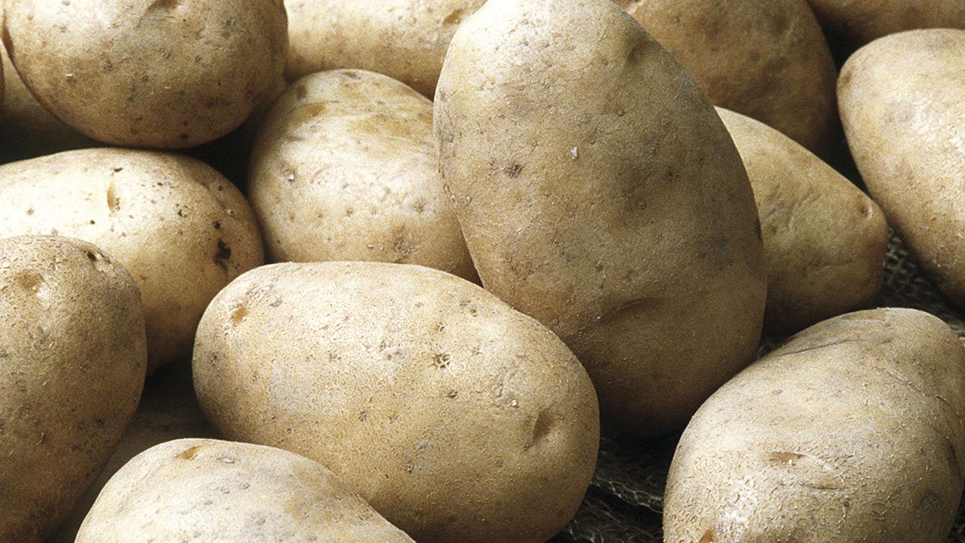 découvrez notre guide 2026 pour planter des pommes de terre avec succès. conseils pratiques, astuces de culture et calendrier complet pour une récolte abondante.
