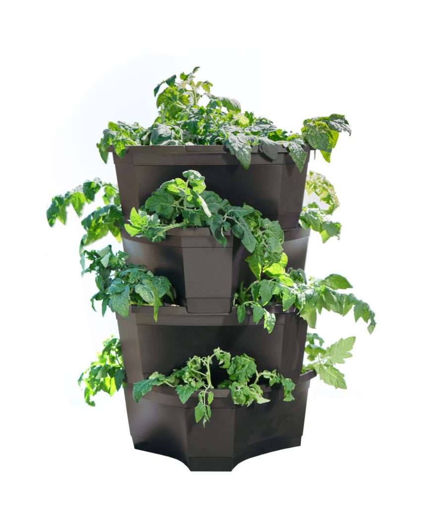 découvrez notre guide 2026 pour planter des pommes de terre facilement et réussir votre récolte avec nos conseils pratiques et astuces jardinage.