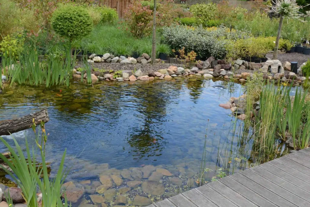 découvrez les plantes aquatiques oxygénantes, leurs rôles essentiels dans l'équilibre des étangs et aquariums, ainsi que leurs bienfaits pour la qualité de l'eau et la biodiversité.