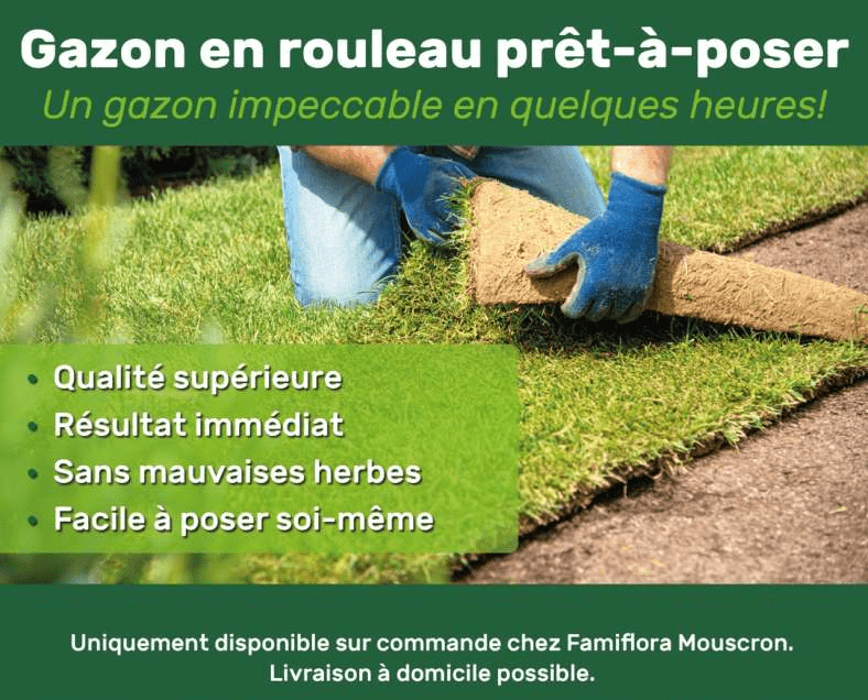 découvrez nos conseils pratiques pour poser du gazon en rouleau facilement et obtenir un jardin verdoyant rapidement.