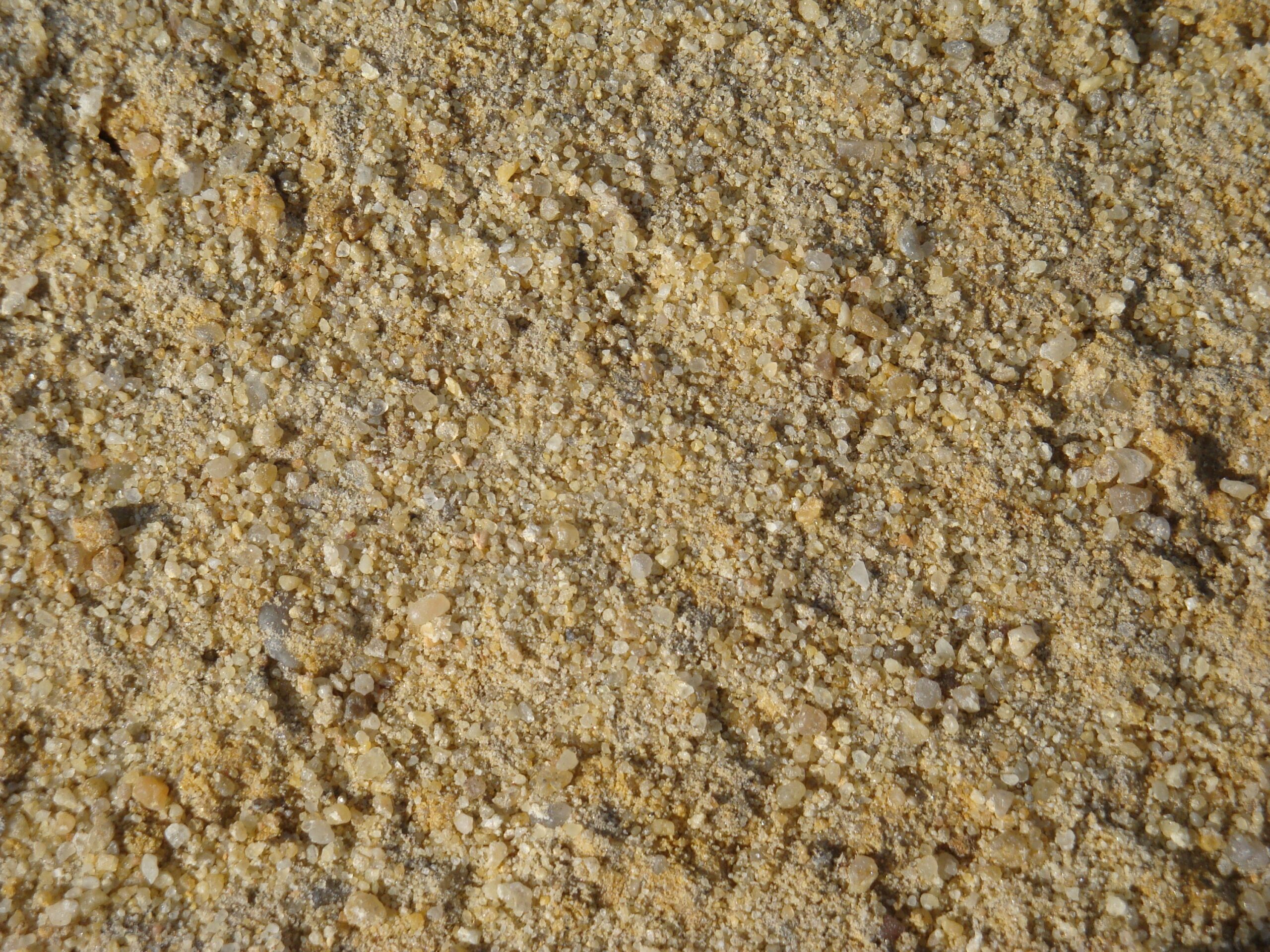 découvrez le sable de rivière idéal pour le jardinage en 2025 : qualité, conseils d'utilisation et avantages pour un jardin sain et durable.