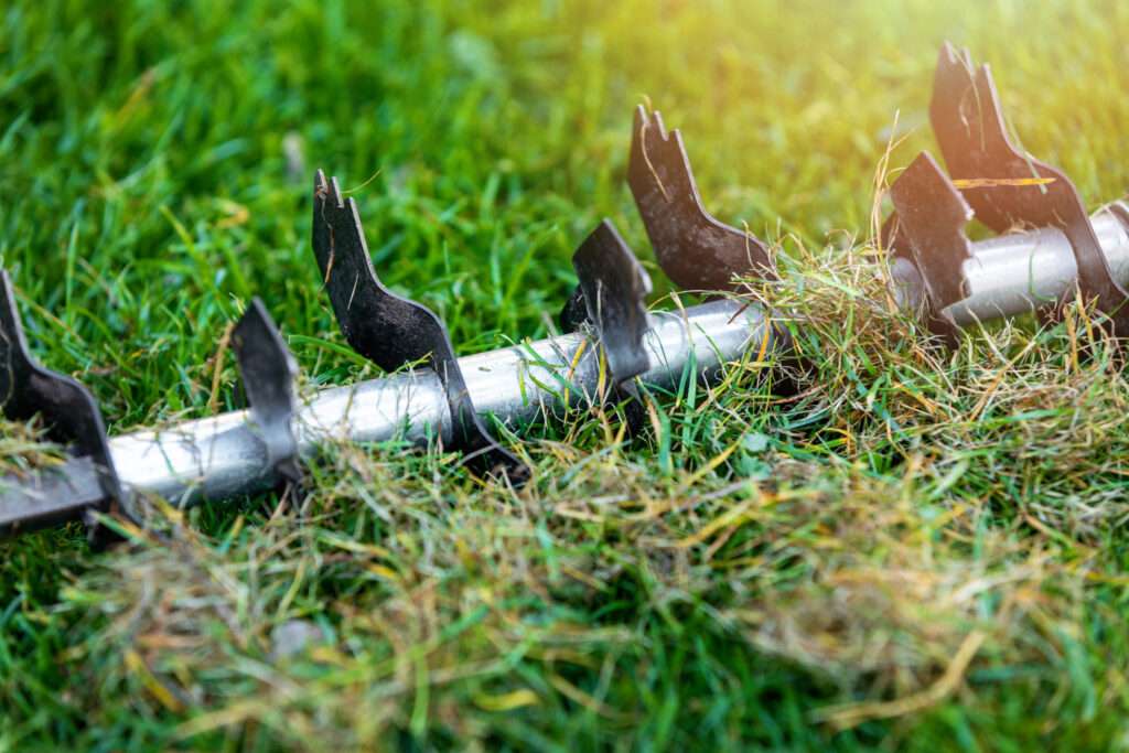 découvrez pourquoi la scarification de pelouse est essentielle pour un gazon sain et apprenez comment la réaliser efficacement grâce à nos conseils pratiques.