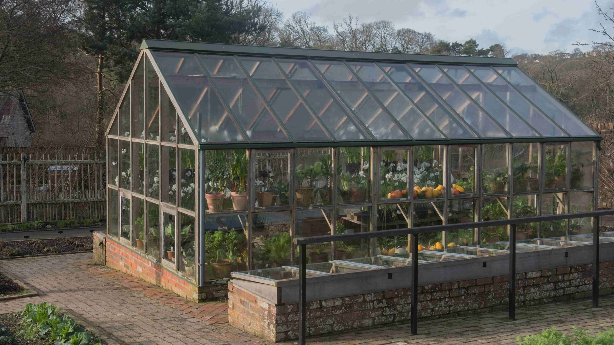 découvrez comment choisir entre une serre tunnel ou une serre en verre pour protéger vos plantes efficacement et optimiser votre jardin.