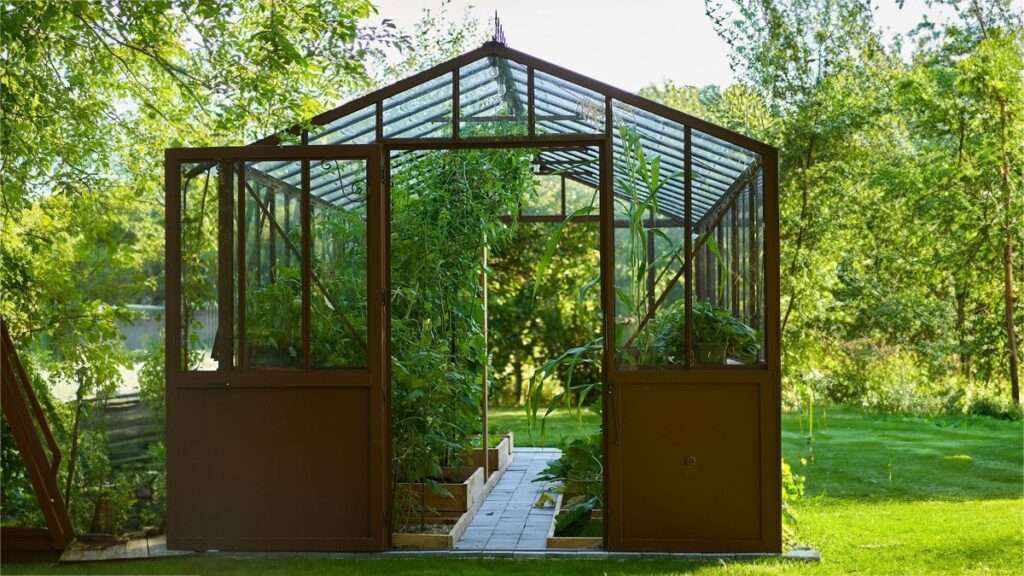 découvrez les avantages et inconvénients des serres tunnel et en verre pour choisir la meilleure solution adaptée à vos besoins de jardinage.