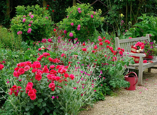 découvrez comment tailler vos rosiers de jardin pour favoriser une floraison abondante et maintenir des plantes en bonne santé tout au long des saisons.