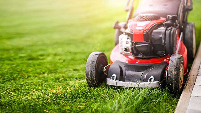 découvrez notre guide complet pour choisir entre une tondeuse thermique ou électrique et trouver l’outil idéal pour entretenir votre jardin efficacement.