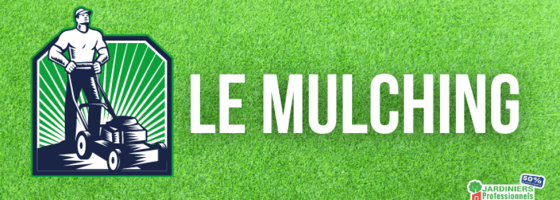 découvrez les avantages de la tonte mulching pour un jardin sain : favorisez une pelouse verdoyante et nourrie naturellement grâce à cette technique écologique.