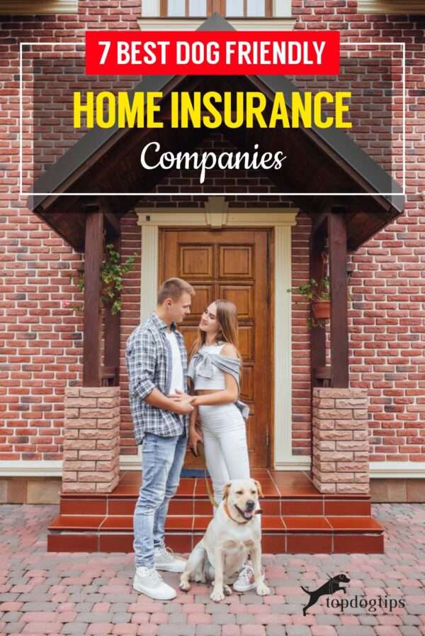 assurez la protection de votre animal de compagnie et de votre domicile avec nos offres complètes d'assurance pet et habitation adaptées à vos besoins.