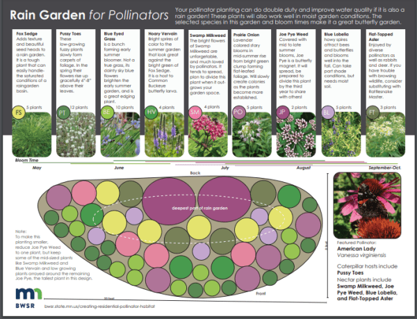 optimisez votre jardin pour attirer et soutenir les pollinisateurs essentiels grâce à des conseils pratiques et des plantes adaptées.